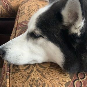 Meet your Posher, Marie